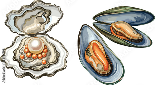 Luxurious open oyster with glowing pearl and nacre; fresh green mussels, bivalve mollusk seafood set; gourmet appetizer, detailed hand-drawn vector illustration.