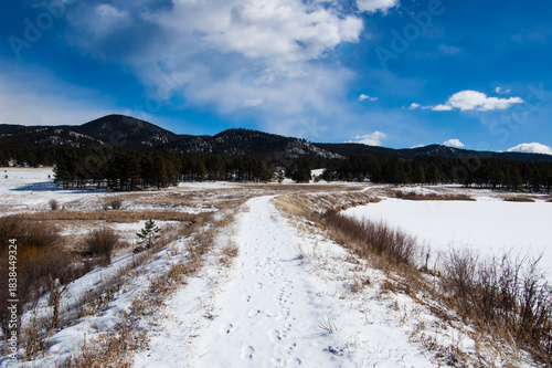 winter landscape in the mountains