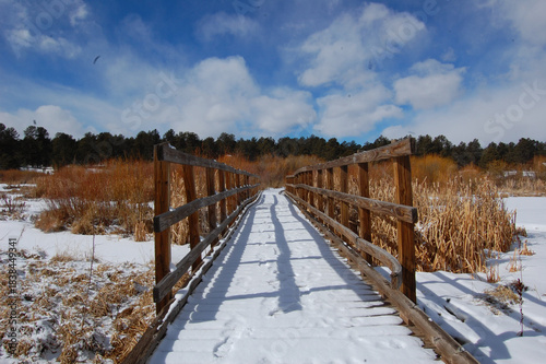 wooden bridge in the snow