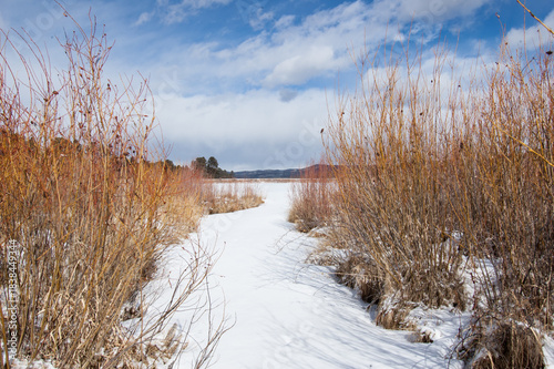 winter landscape with river