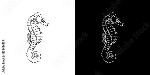 Line art illustration of a seahorse on a white and black background