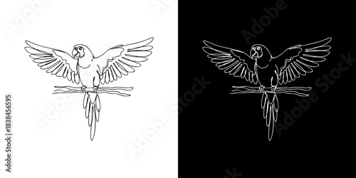A Majestic Parrot Perched on a Branch, Displaying its Wingspan in a Minimalist Line Art Style, Available in Black and White