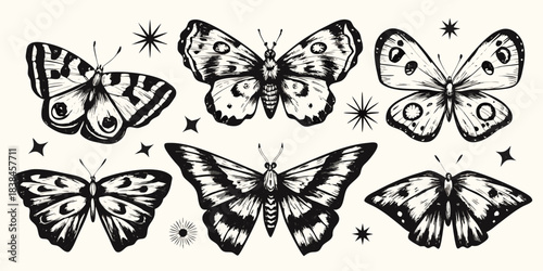 A collection of beautifully detailed black and white butterfly illustrations