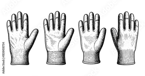 Vintage engraved gloves set on white background