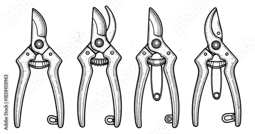 Detailed black and white illustration of garden pruning shears from various angles