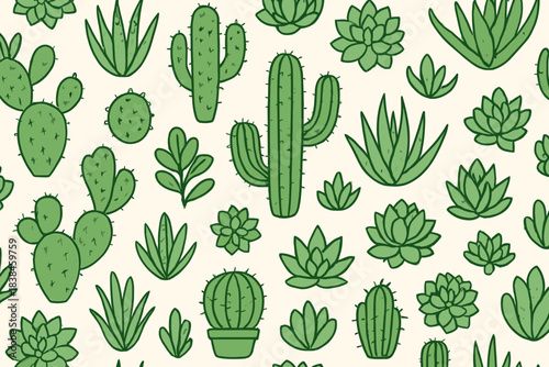 Cacti and succulents in various shapes and sizes arranged on a light background in a decorative pattern