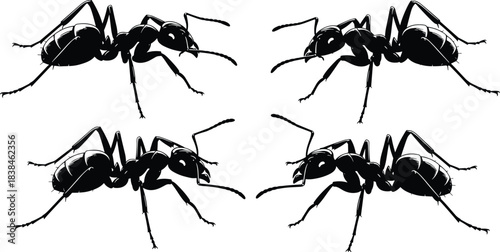 Ant silhouette grid, black vector insects, 2x2 layout, blue outline, stylized design, pest control, insect anatomy, editable graphic, nature symbol, symmetrical pattern