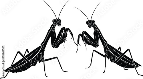 Praying mantis silhouette, black and blue vector insects, symmetrical pose, bent forelegs, detailed anatomy, nature symbol, entomology, graphic design, scientific sketch, insect art