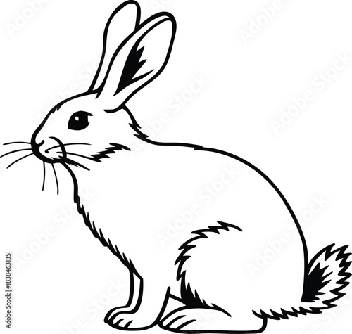 rabbit cartoon silhouette vector illustration
