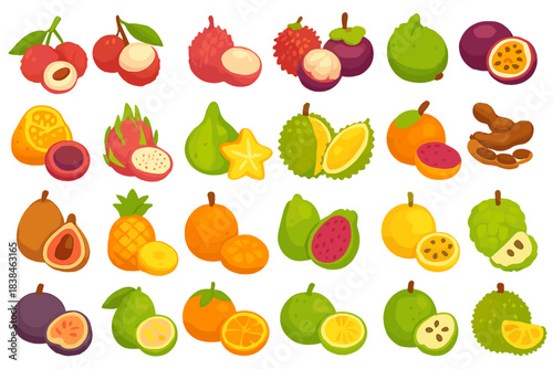 Collection of tropical fruits arranged in rows showing various shapes and colors that highlight tropical flavors and textures