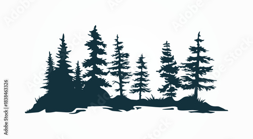 Pine trees, forest vector silhouette illustration, graphics