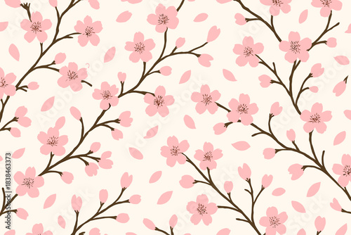 Cherry blossom branches with pink flowers and petals on a light background in springtime setting