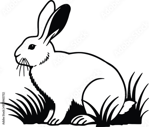 rabbit graphic silhouette vector illustration

