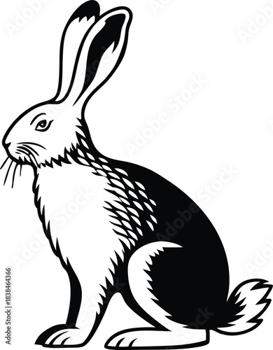 rabbit detailed silhouette vector illustration
