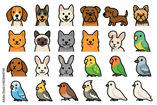 Different types of pets gathered together in a bright and colorful layout showing various animals and their unique appearances