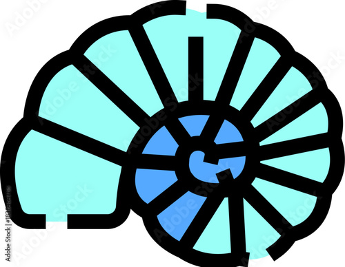 Ammonite fossil icon symbolizing ancient marine life