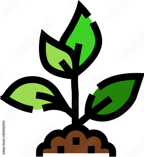 Green seedling growing from soil illustrating new life