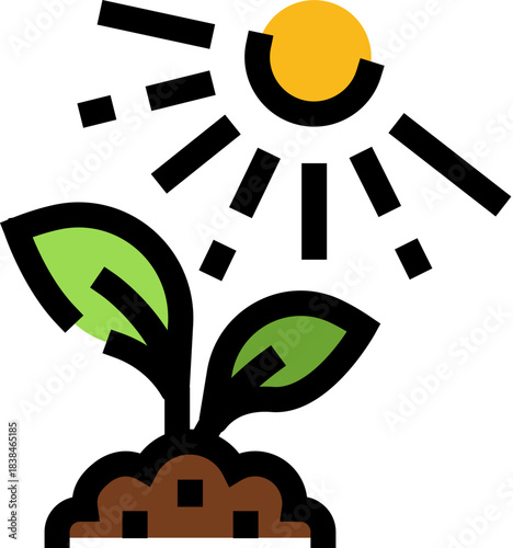 Green plant sprout growing in soil receiving sun