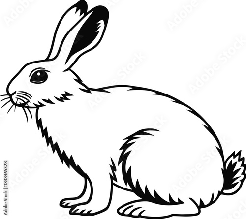 rabbit face icon silhouette vector illustration
