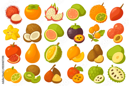 Various tropical fruits arranged in colorful patterns on a white background for educational and decorative purposes