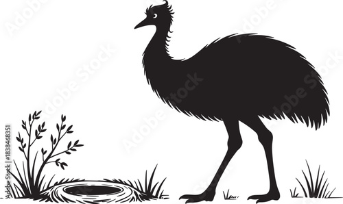 Emu bird and nest in a grassy landscape black silhouette isolated on transparent