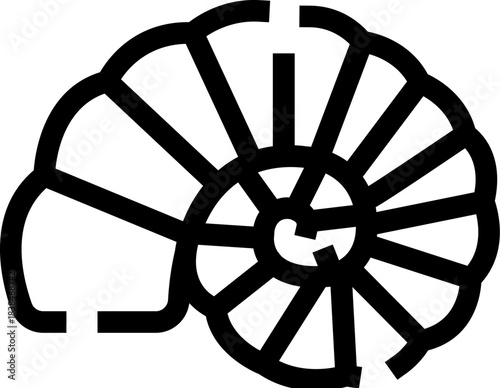 Ammonite fossil discovering prehistoric spiral shell evolution