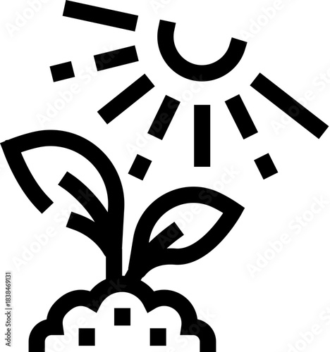 Plant seedling growing receiving sun light icon