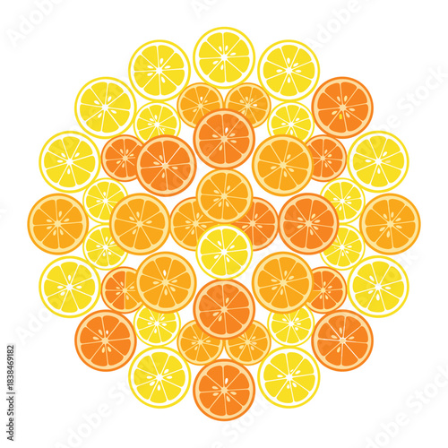 Citrus fruit slices vector illustration of orange and lemon circle patterns