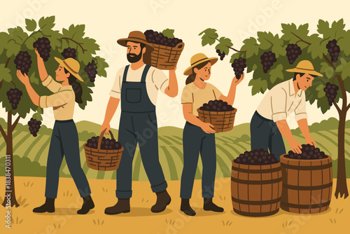 Farmers gather grapes during harvest season in a vineyard on a sunny day in the countryside