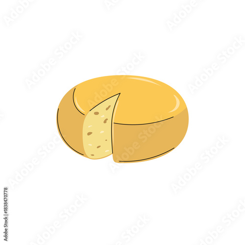 Cheese wheel in flat modern style. cheese head in simple minimalistic doodled design. Vector illustration isolated on white.