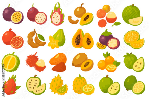 Different types of tropical fruits on a white background with various colors and shapes displayed in a clear layout