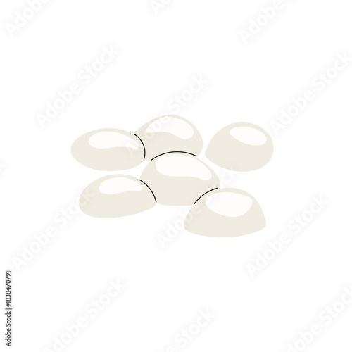Mozzarella balls Bocconcini in flat modern minimalistic style. Fresh diary traditional italian product. Vector illustration isolated on white background.