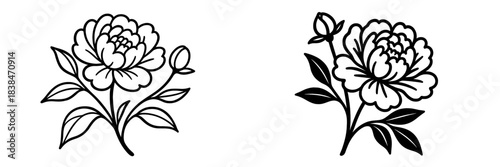 Floral peony vector illustrations isolated on white background
