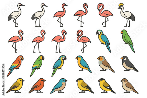 Colorful birds in a simple art style showing different types of species grouped together in a grid pattern