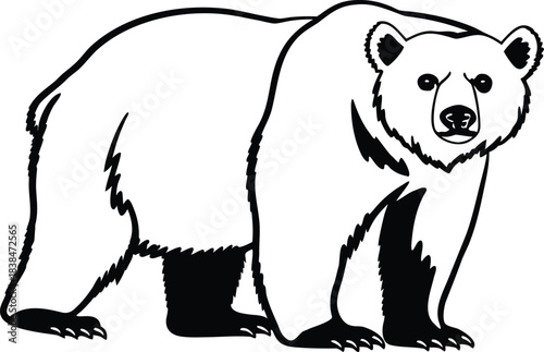 bear face logo icon silhouette vector illustration
