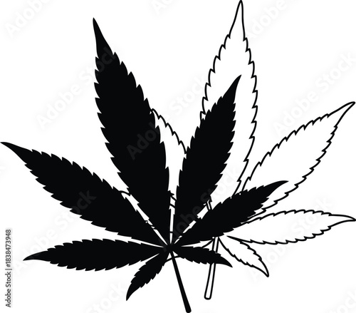 Black and White Featuring Two Overlapping Cannabis Marijuana Leaf Illustrations