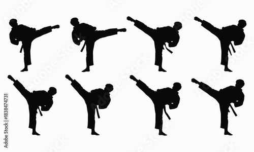 Karate Fighter Silhouette Collection Kick and Punch Poses Vector