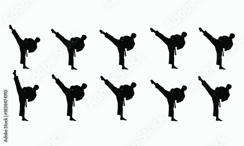 Karate Fighter Silhouette Collection Kick and Punch Poses Vector