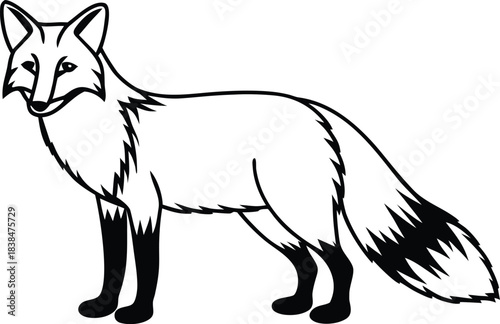 fox outline silhouette vector illustration
