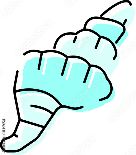 Seashell conch mollusk line art illustration drawing