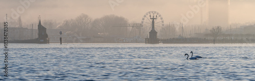 On a foggy winter day in pastel colors, a pair of swans float on a lake, with the port of Konstanz, the Imperia statue, and the Ferris wheel in the background. Konstanz, Baden-Württemberg, Germany.