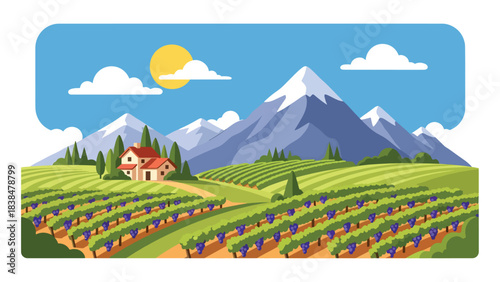 Flat illustration of a vineyard with grapevines, farmhouse, trees, and distant hills. Suitable for travel, food culture, and wine region themes