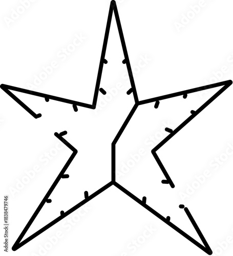 Star outline with holiday string lights decoration