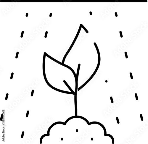 Plant sapling growing in soil receiving rain