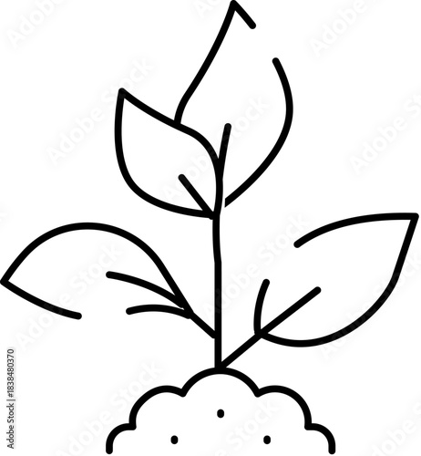 Young plant growing from soil depicting nature and ecology