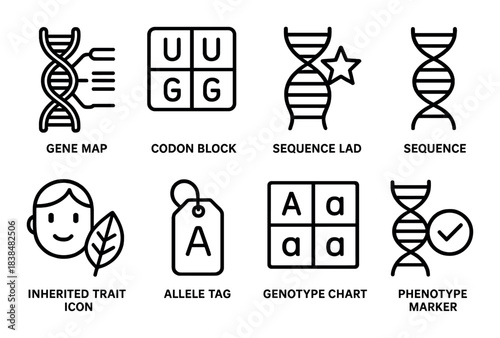 Genetic icons vector: dna, codon, allele, genotype, phenotype
