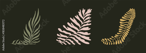 Abstract floral vector set. Flower llustration featuring stylized botanical leaves with organic wavy shapes. Modern hand drawn tropical foliage silhouettes perfect for patterns, branding, packaging