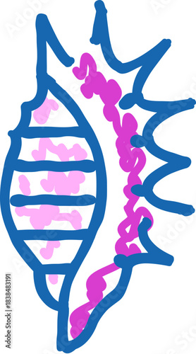 Seashell doodle drawing illustrating marine life object