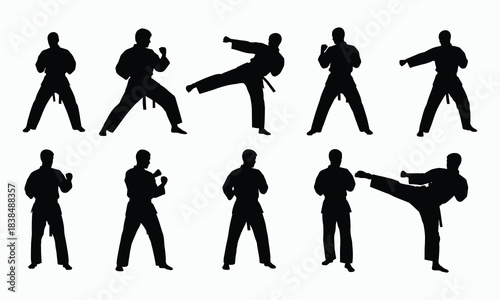 Karate Fighter Silhouette Collection Kick and Punch Poses