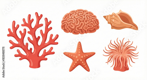 Vibrant Collection of Underwater Coral, Brain Coral, Seashell, Starfish, and Sea Anemone